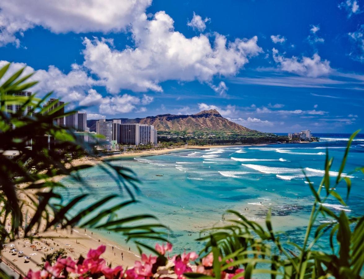 Rare Deluxe Ocean View Gem With Free Parking Apartment Honolulu Exterior foto